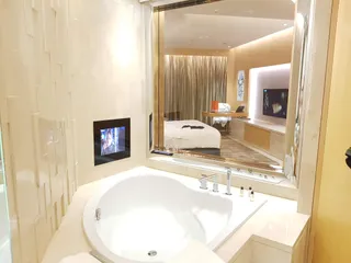 The Meydan Hotel