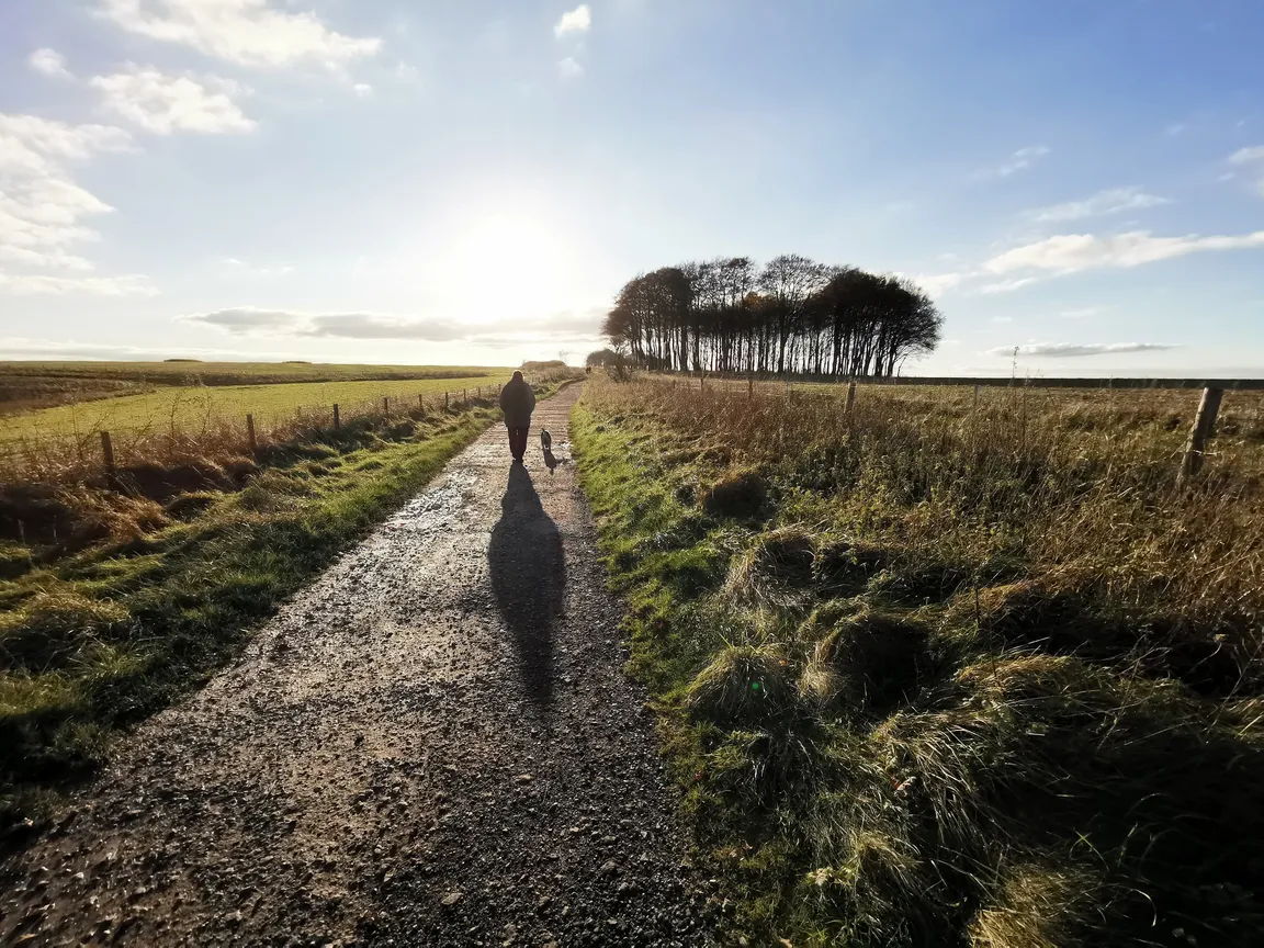 The Ridgeway National Trail