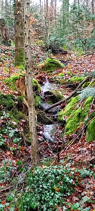 Brunnen Mönchshütte