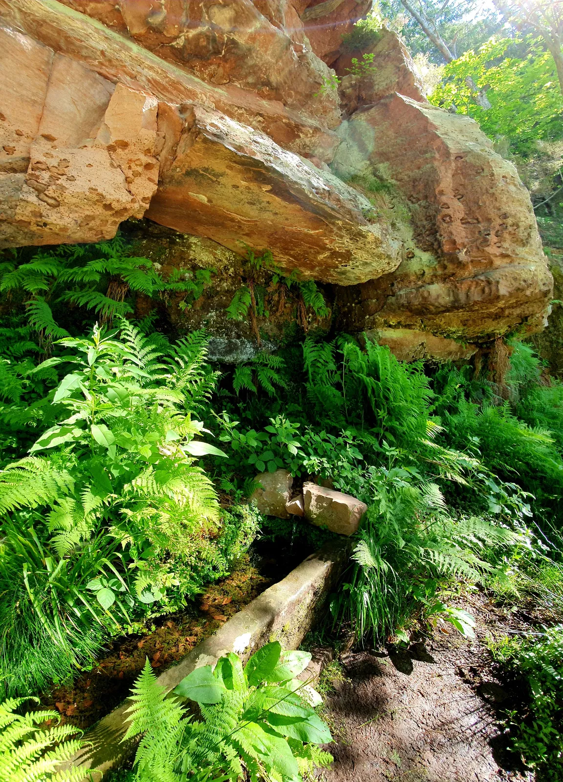 source des corbeaux
