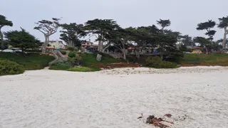 Carmel by the sea