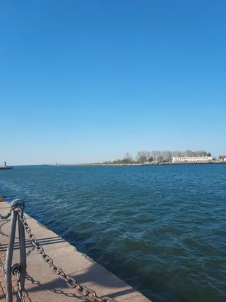 Plaża dla psów w Brzeźnie