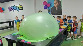 Gootopia Malta