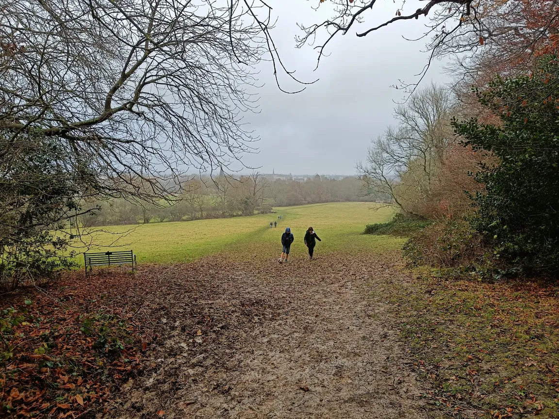 Denne Hill