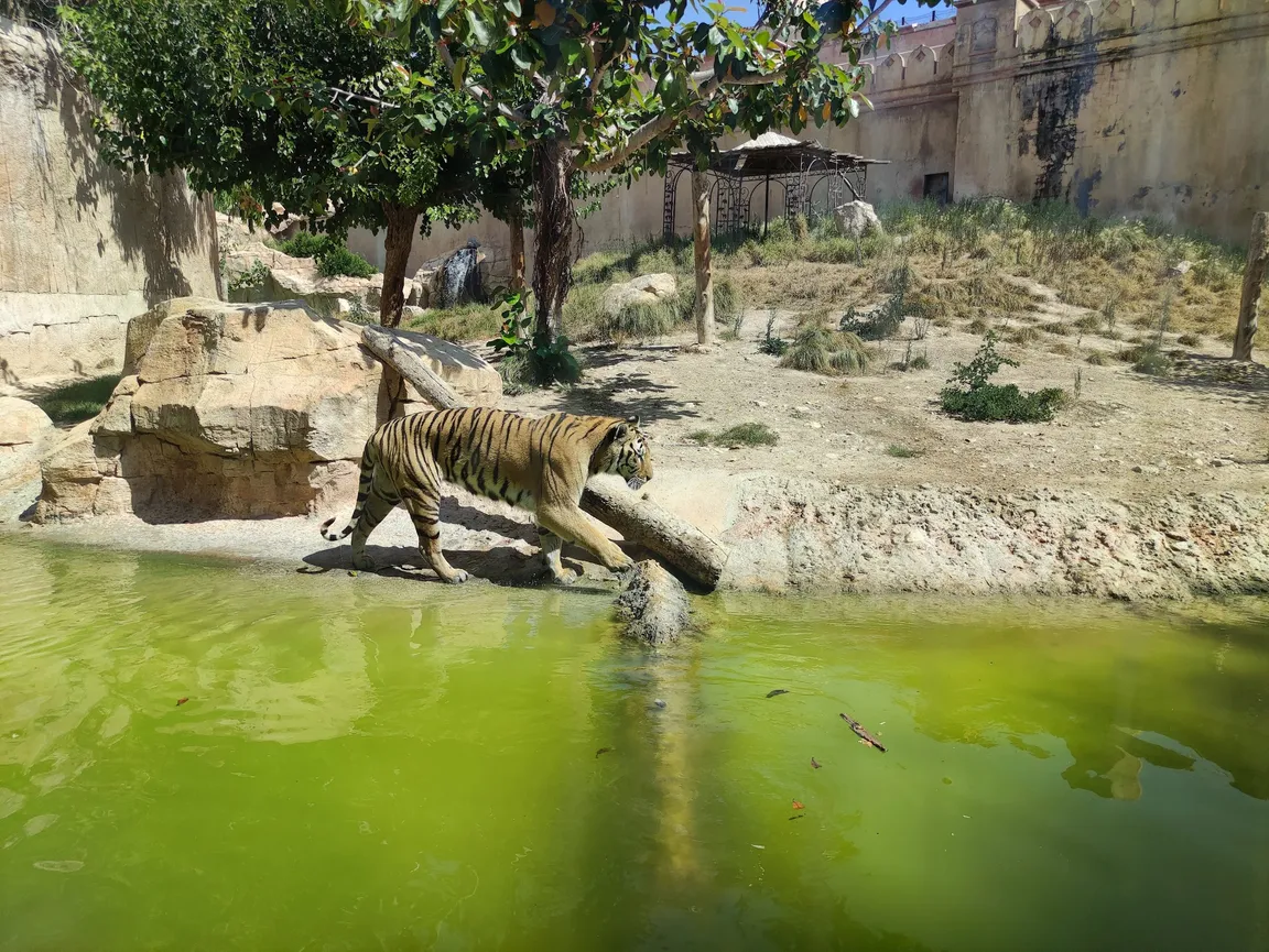 Terra Natura