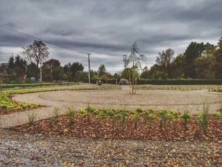 Głaz narzutowy w Długiej Kościelnej