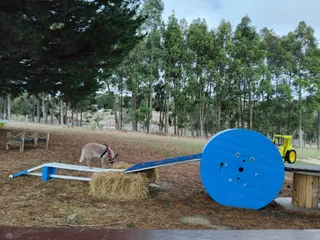 Happy Houndz Adventure Park