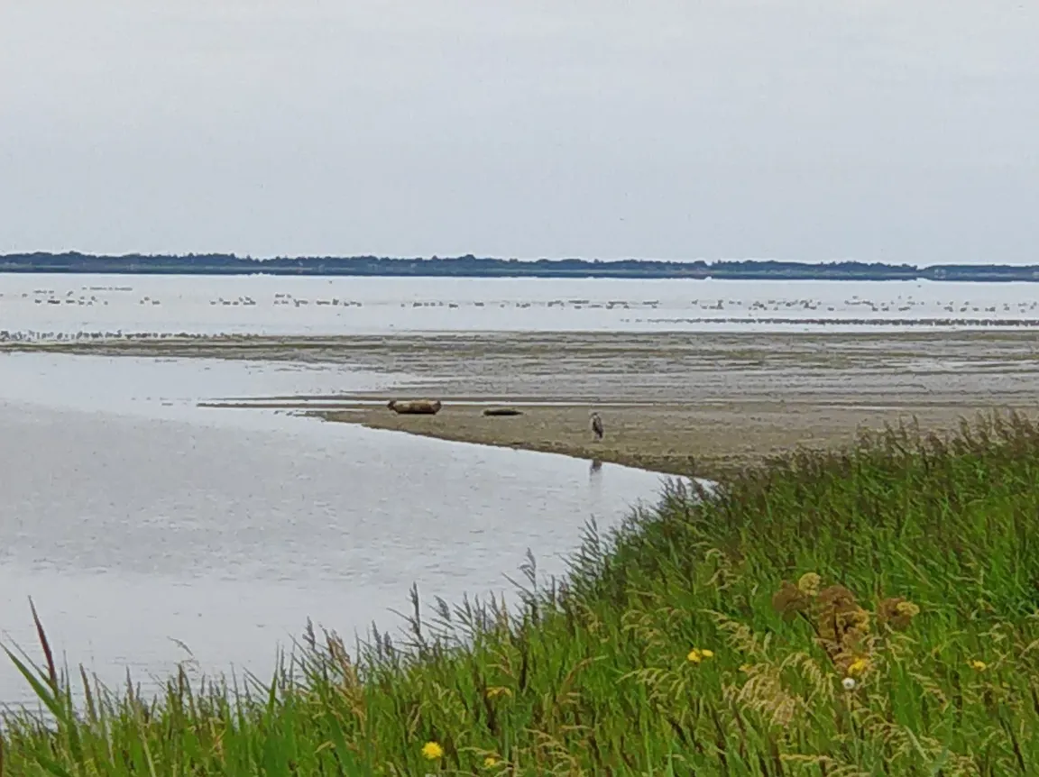 Wadden Sea National Park