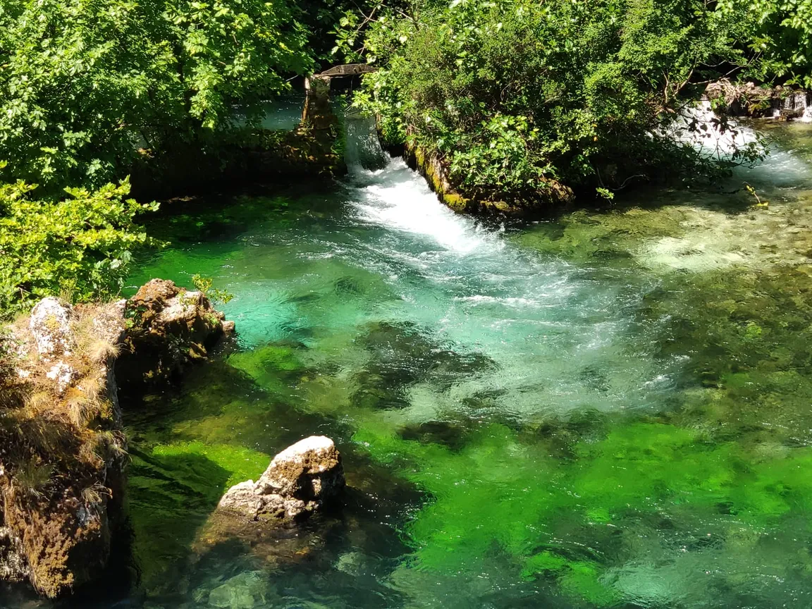 Vaucluse Spring