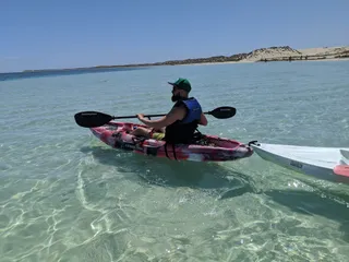 Shark Sanctuary