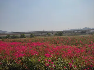 光明农场生态旅游