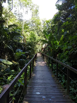 Parque Nacional Cahuita - Entrada Puerto Vargas