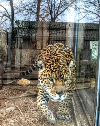 Zoo of Pistoia
