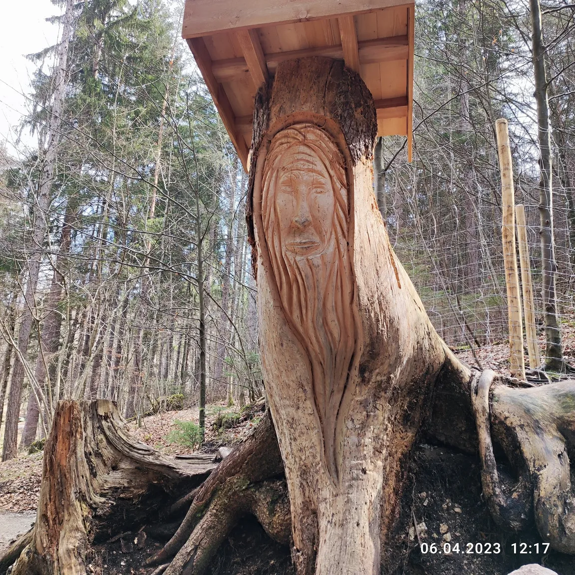 Bergwaldpfad