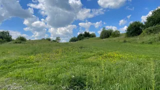 Shaw Forest Park