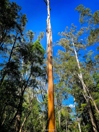 North Rocks Wildlife Sanctuary