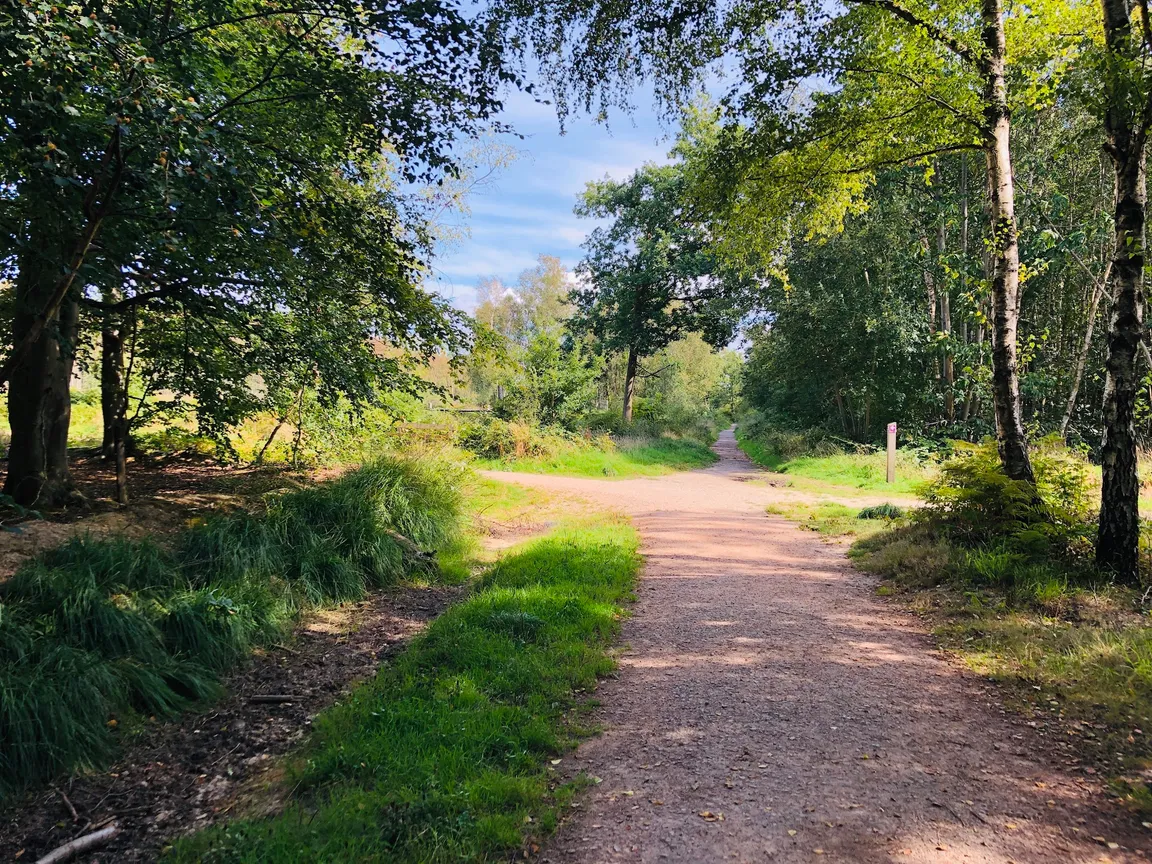 Creech Wood