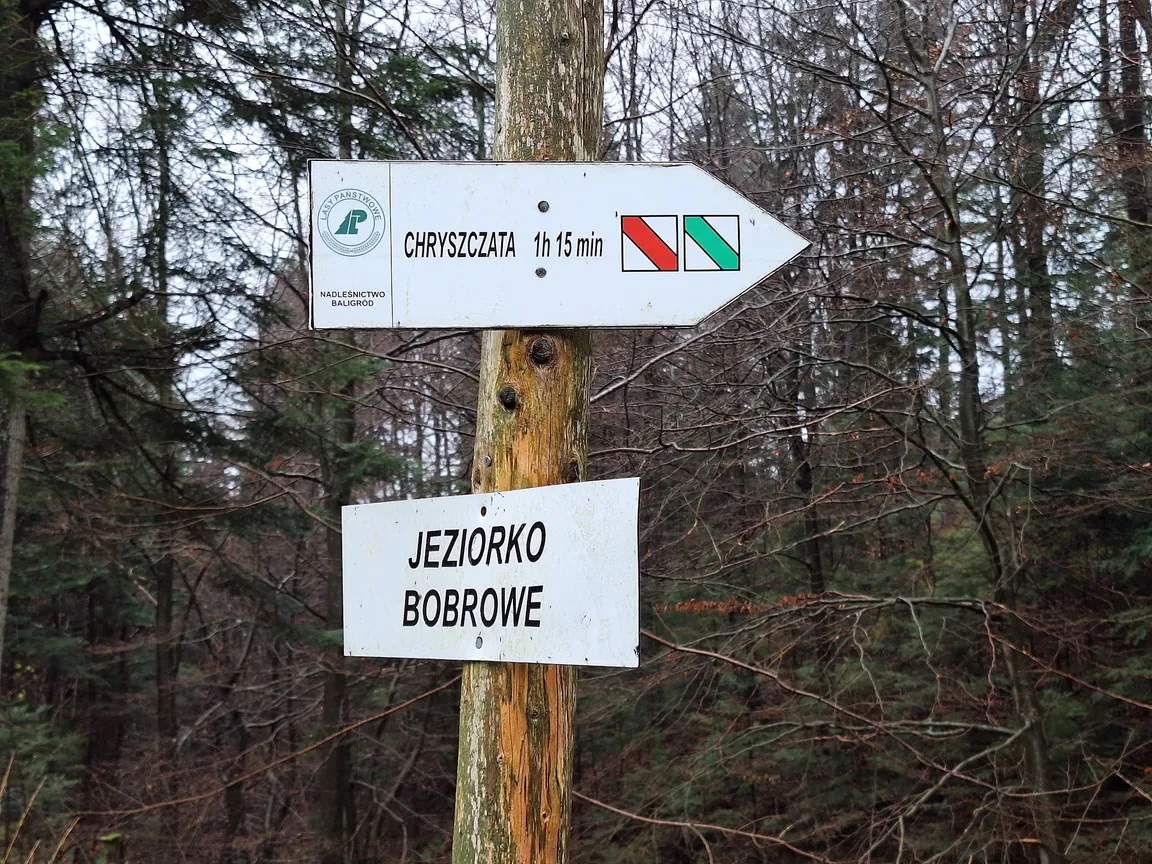 Jeziorka Bobrowe - platforma widokowa