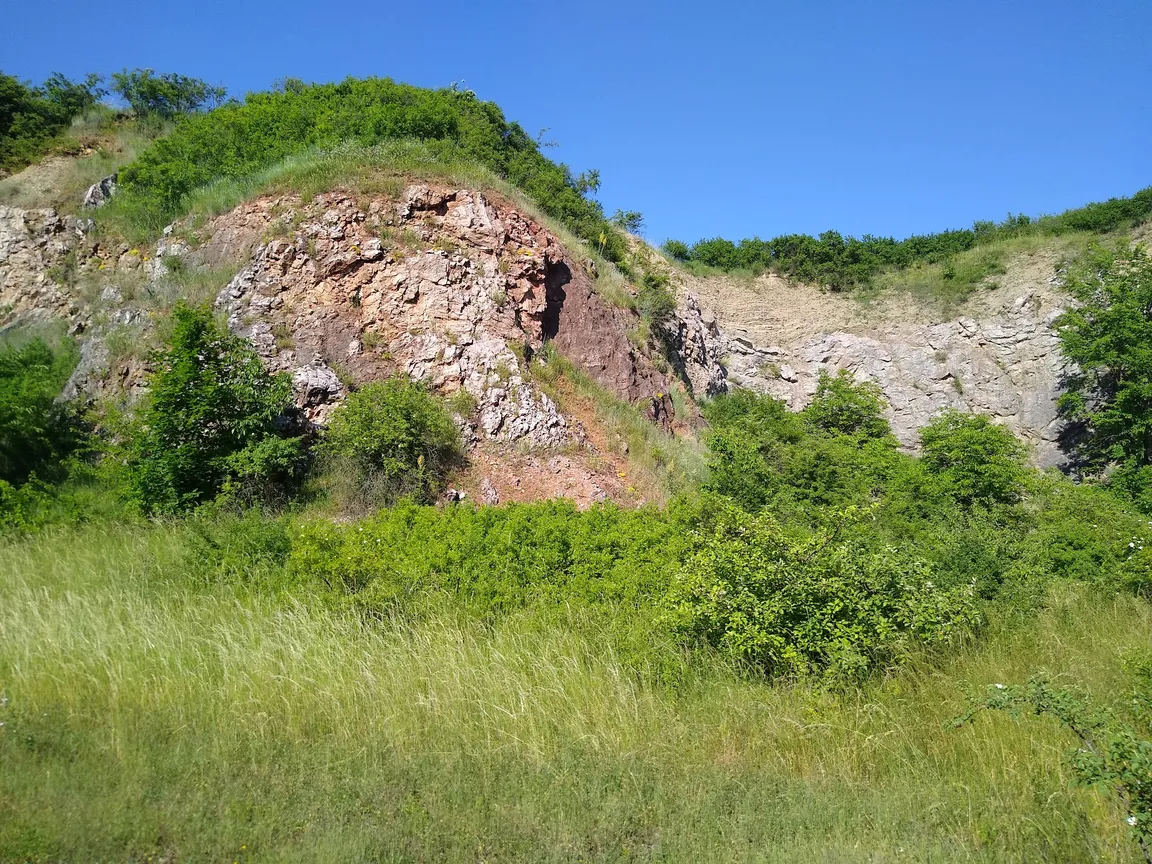 Rezerwat Przyrody Wietrznia im. Zbigniewa Rubinowskiego