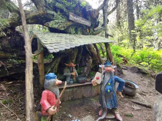 Wichtelpfad im Auerhahnwald - Feldberg