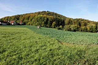 Naturdenkmal Kachelstein bei Wohlmuthshüll