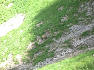 Alpenvereinssteig