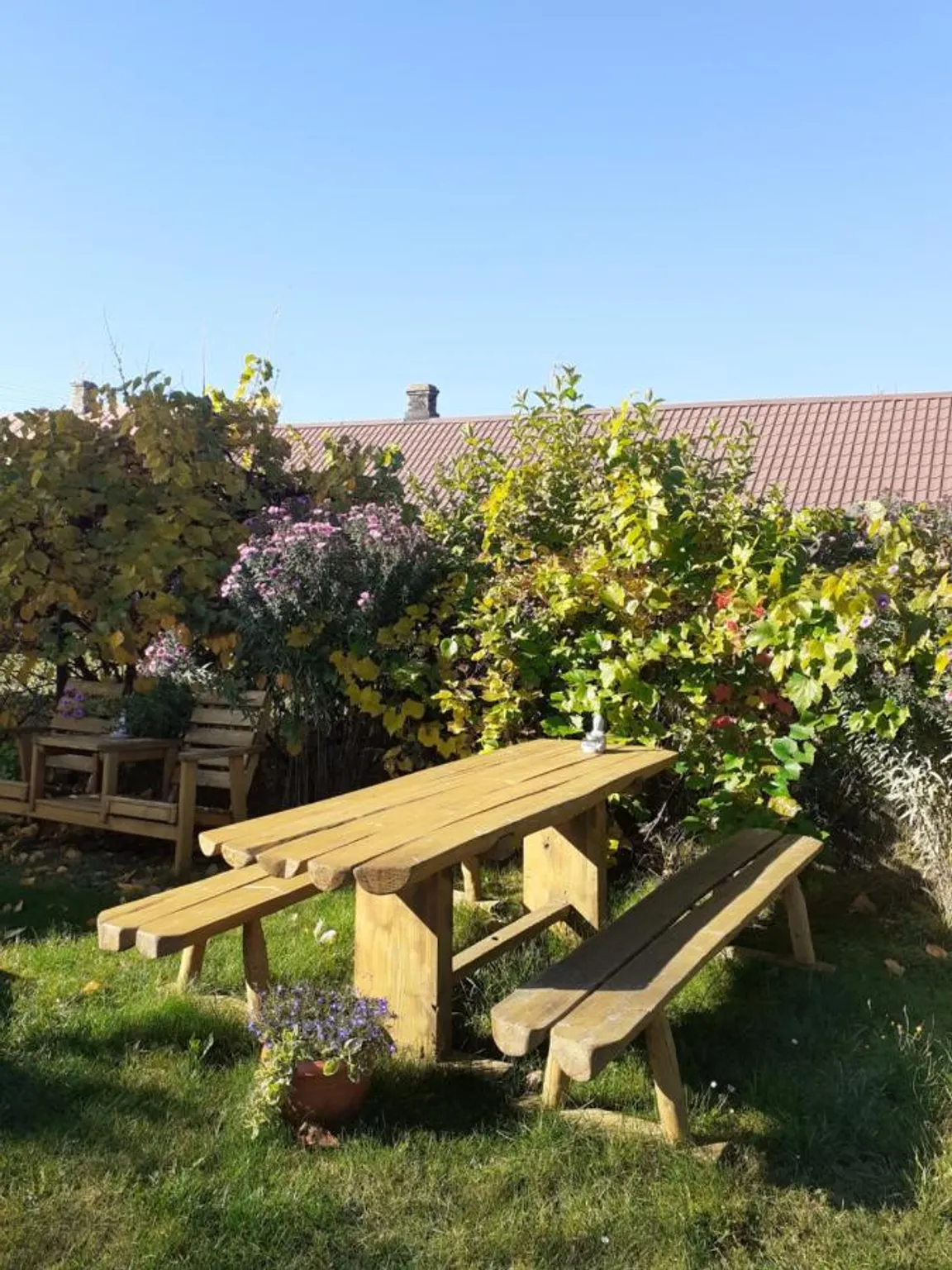 Słoneczko - Dom pełen światła - Pokoje do wynajęcia w Białowieży