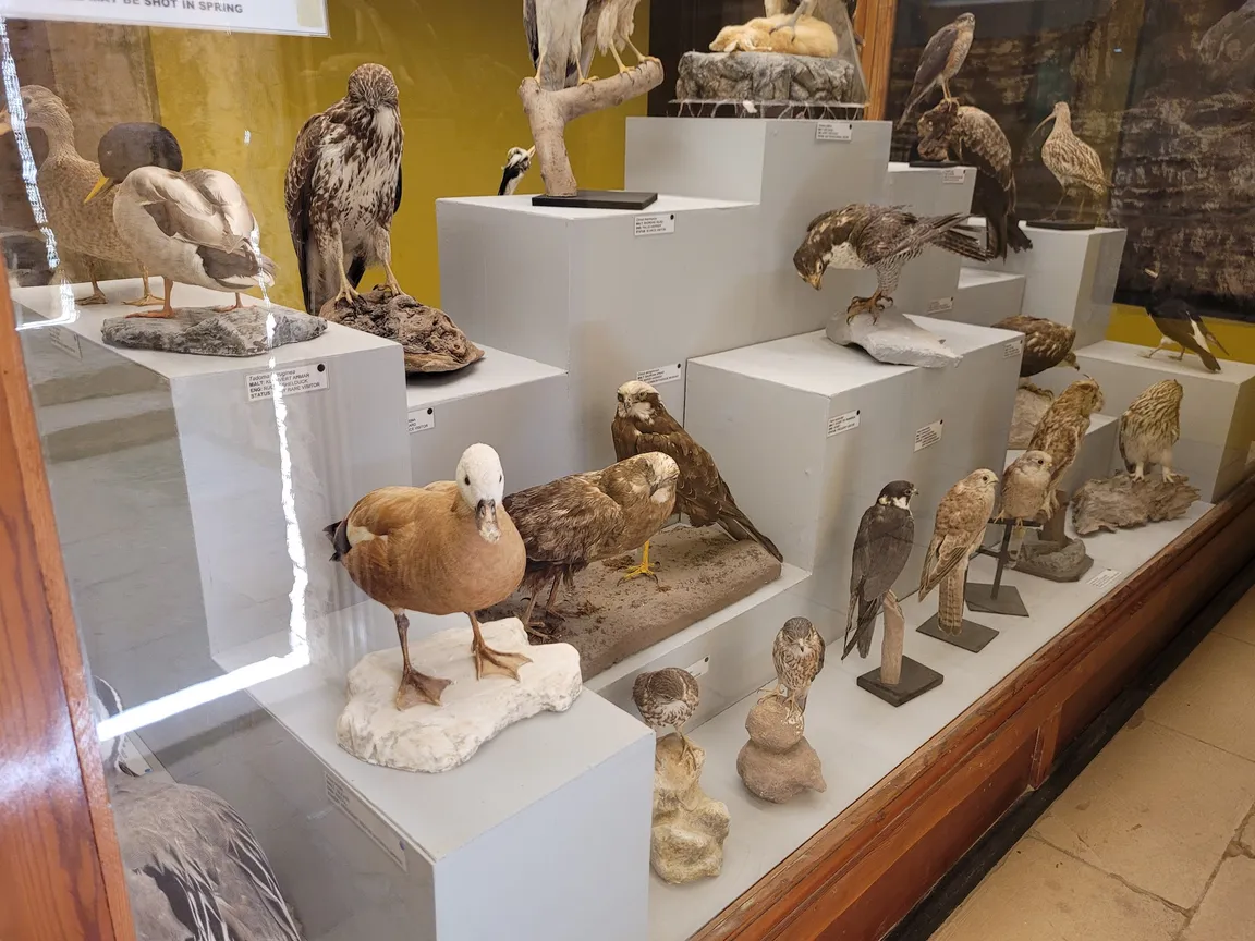 Natural Science Museum