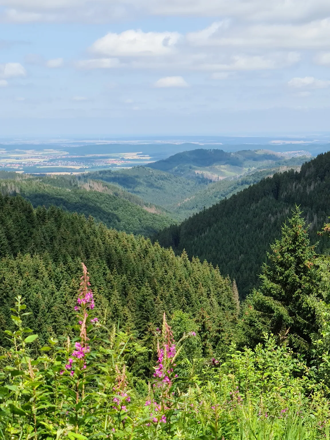 Liebesbank trail