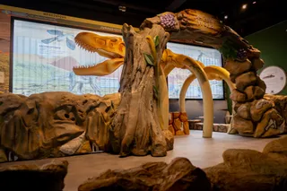 Amuzeum - Parc de Jeux & Attractions Casablanca
