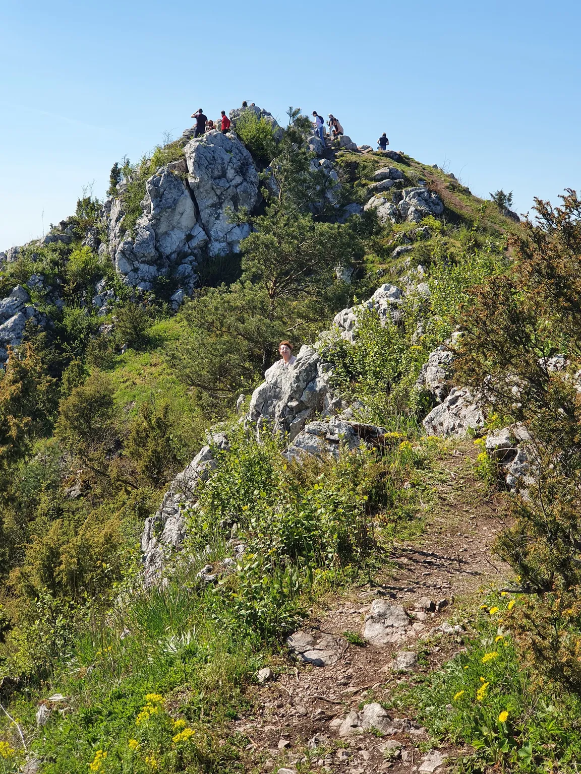 Miedzianka