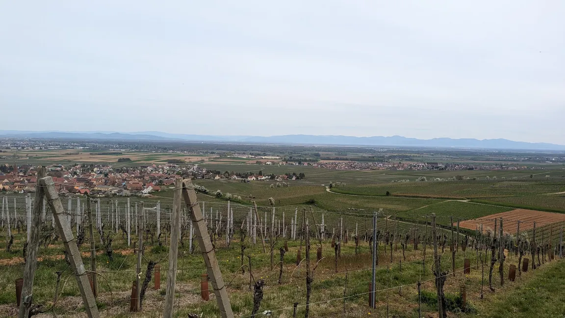 Segway Alsace by Oenotourismus