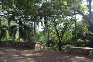 Karon Viewpoint