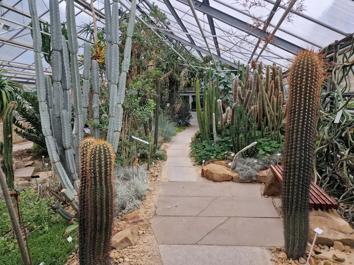 BOT Botanical Garden
