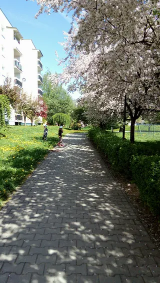 PLAC ZABAW NIVEA