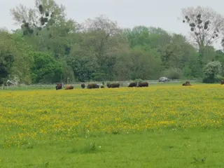 Runnymede
