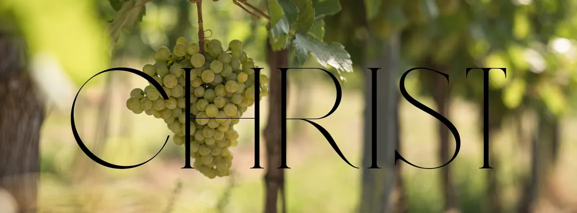 Weingut & Heuriger Christ