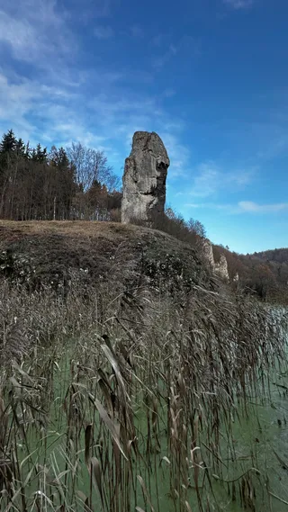 Maczuga Herkulesa