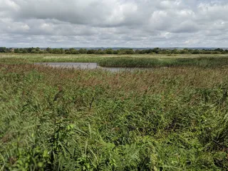 Avalon Marshes Centre
