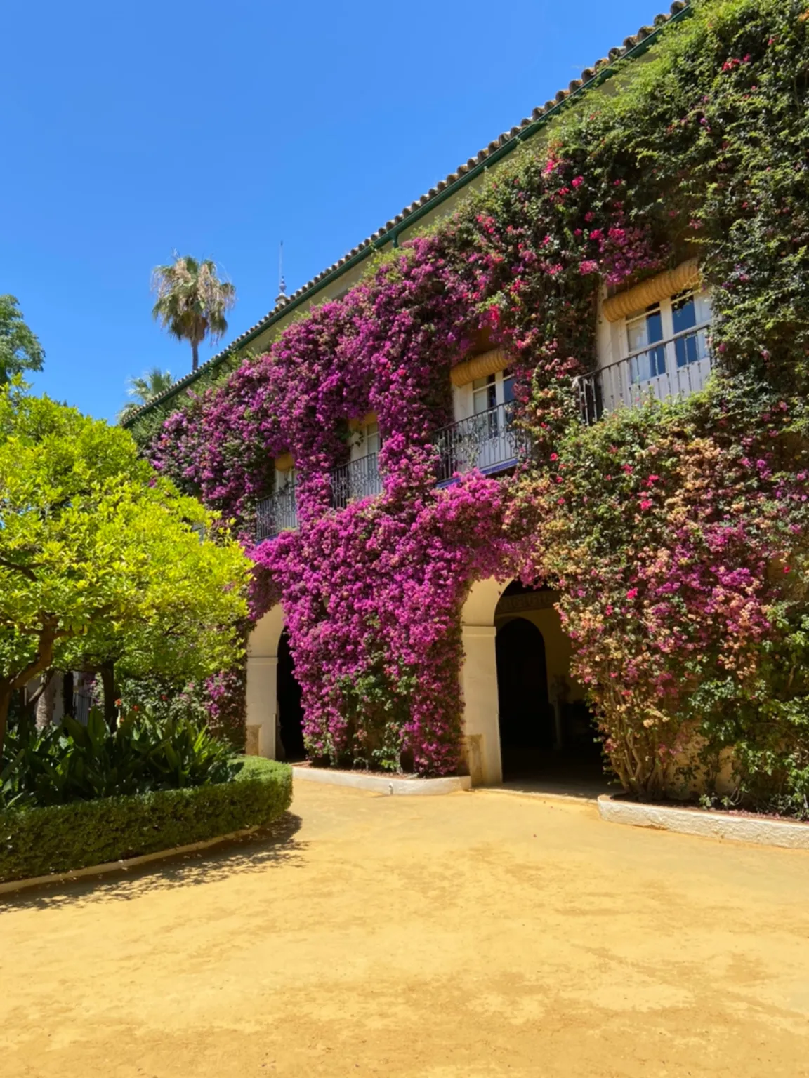 Palacio de las Dueñas