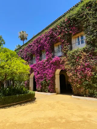 Palacio de las Dueñas