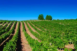 Quinta dos Vales