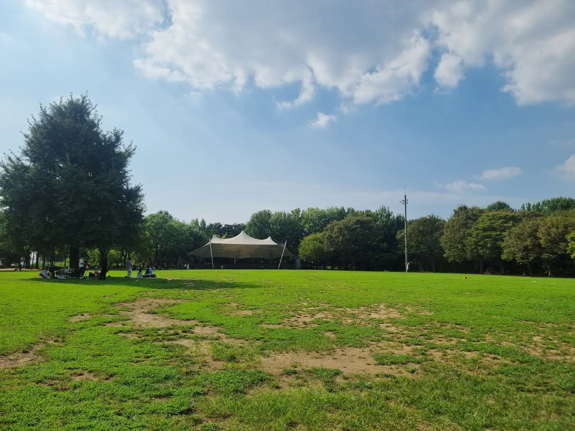 Seoul Forest Family Yard