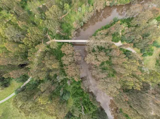 Main Yarra Trail