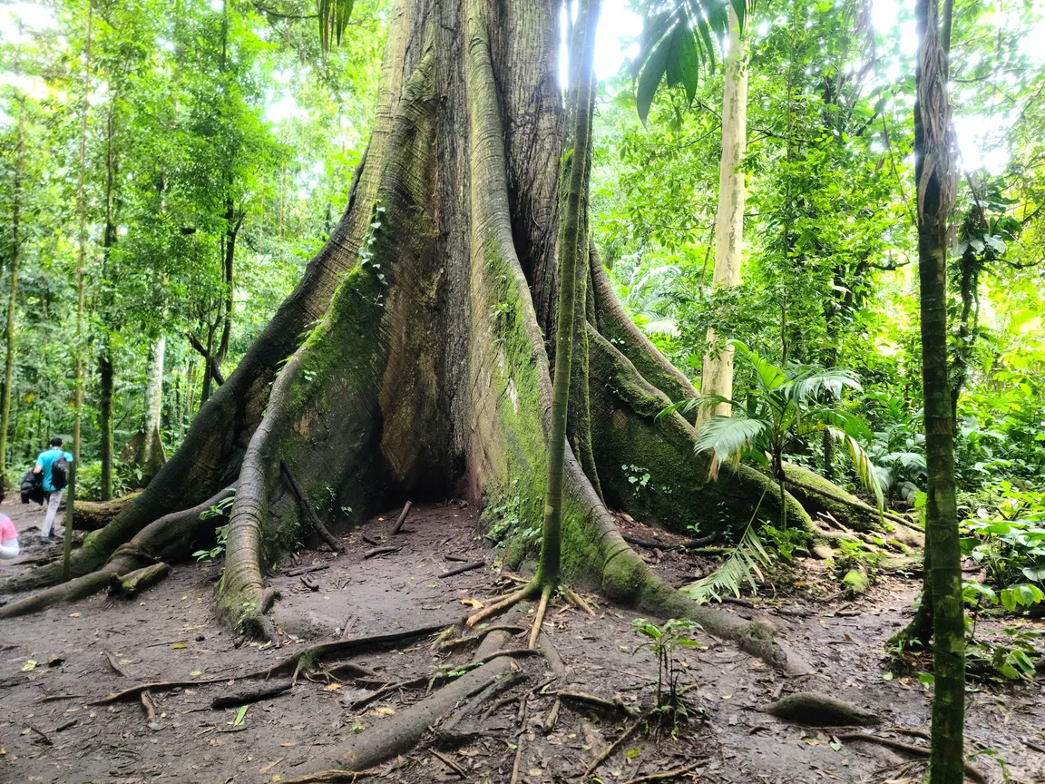 Parque Nacional Volcán Arenal