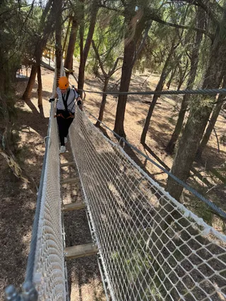 TreeClimb Salisbury