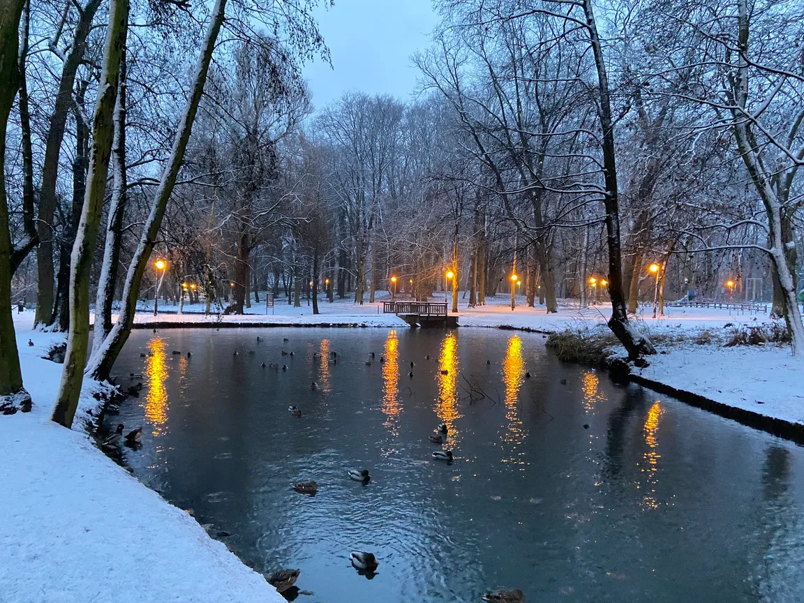 Park Sołacki