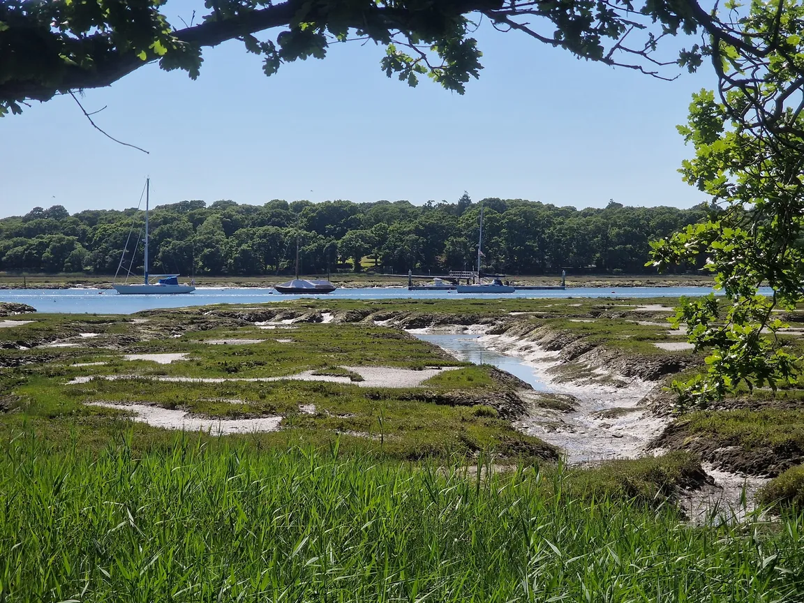 Exbury Gardens & Steam Railway