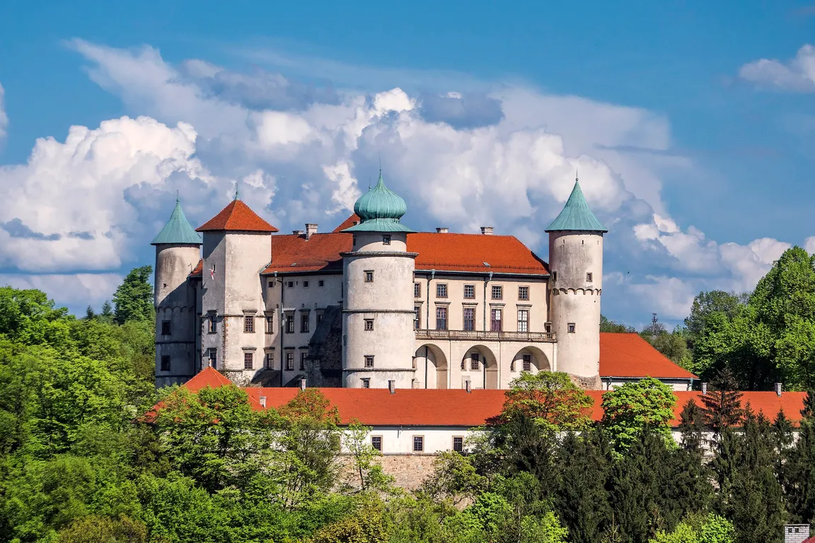Zamek w Wiśniczu