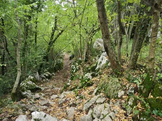 Medveja - Lovranska draga